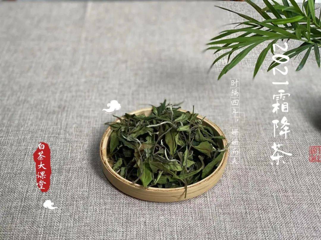 老白茶泡出来苦是什么原因，为什么有苦涩味？