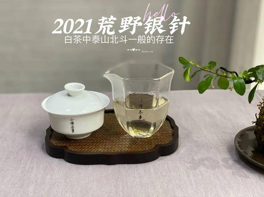 白茶黑茶功能区别及白茶黑茶普洱茶哪个更好