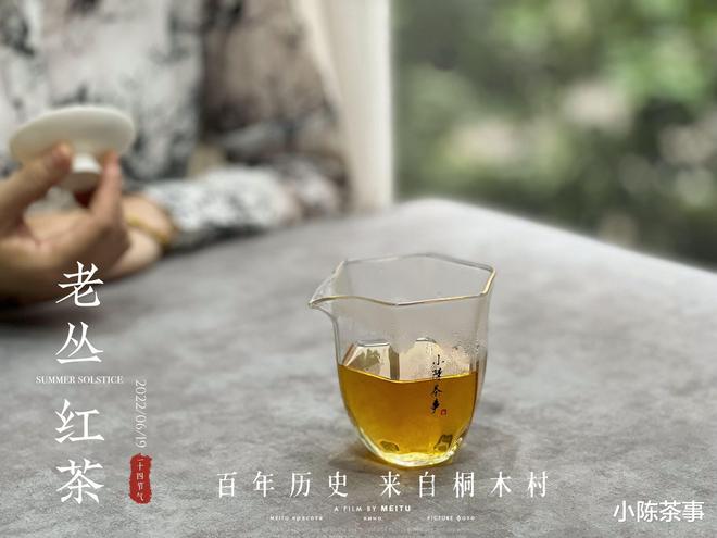 白茶黑茶功能区别及白茶黑茶普洱茶哪个更好