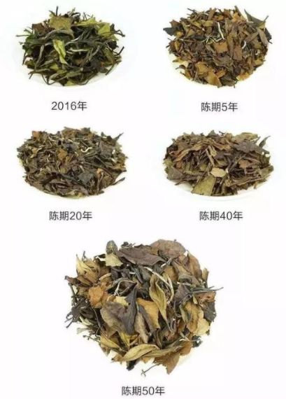 白茶什么时候能出药香味呢