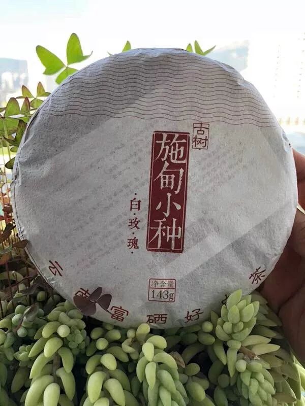 小白茶品种及特点