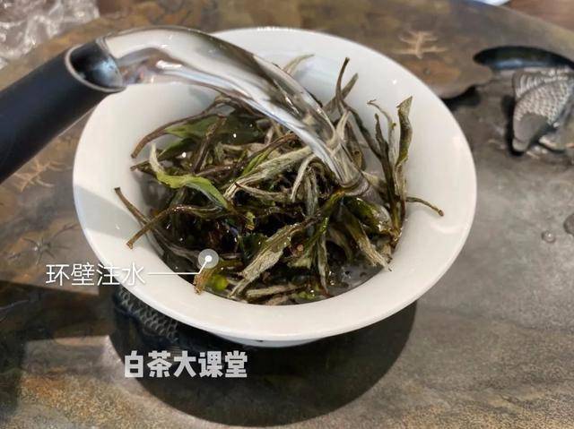 压成饼的白茶怎么喝好