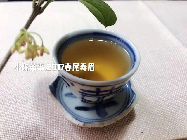 福鼎白茶寿眉产地及其简介