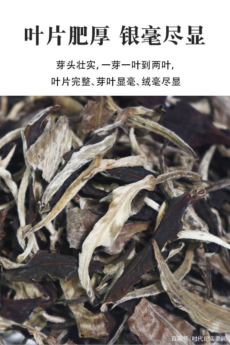 茉莉花白茶的功效与作用，禁忌