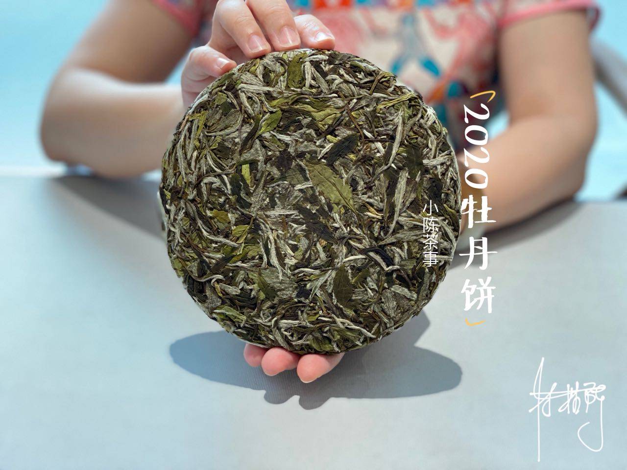 建水罐能存白茶饼茶吗？为什么建水紫罐可以存白茶？