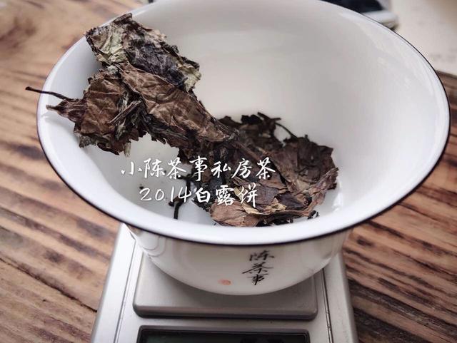 白茶可以用钛合金泡吗