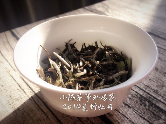 白茶老茶是什么意思啊