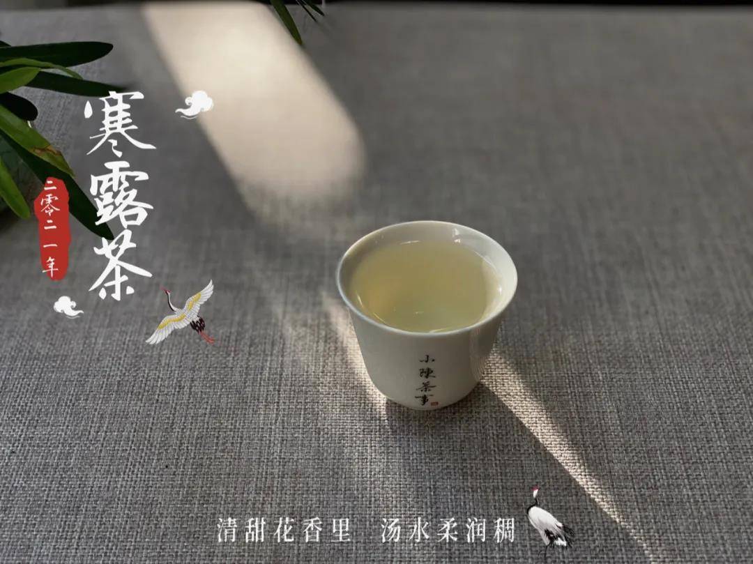 买的老白茶还能喝吗现在