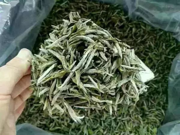 白茶与黑茶哪个对肝好些