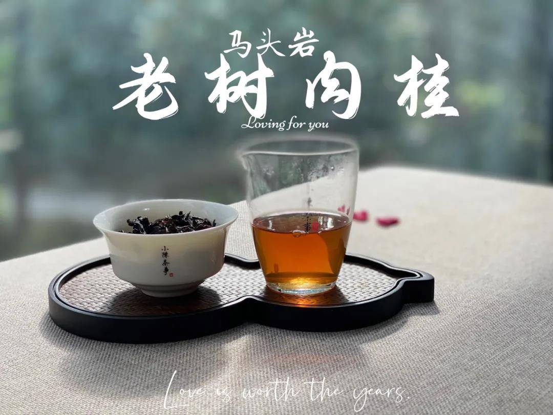 天目湖白茶需要洗茶吗及冲泡方法