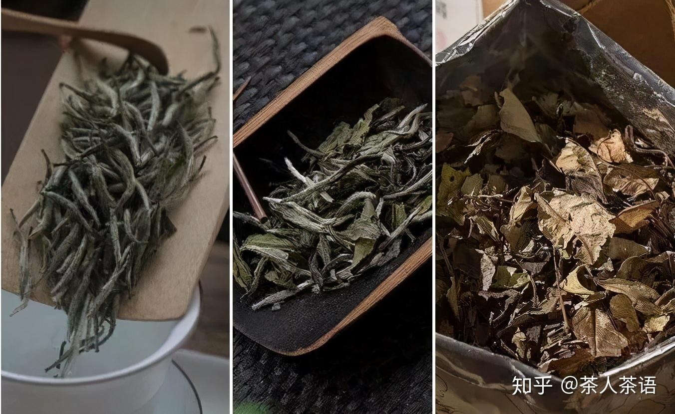 明前白茶碎茶片的功效