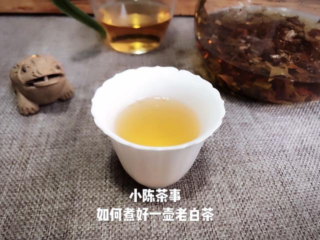 长春老白茶厂商联系方式