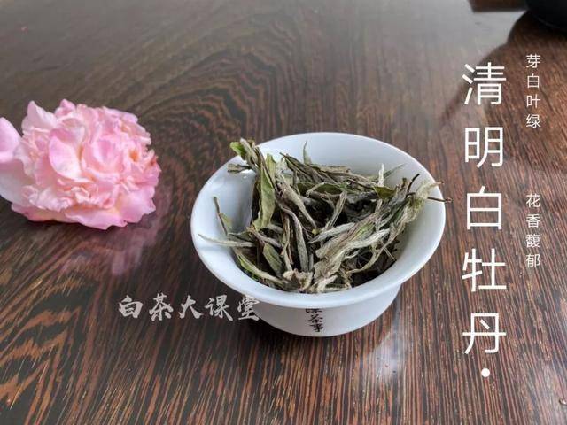 白茶泡久了还能喝吗？