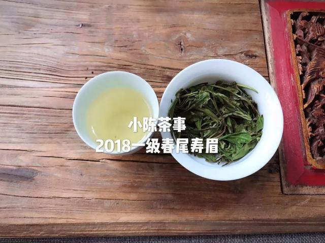 大师白茶及排名