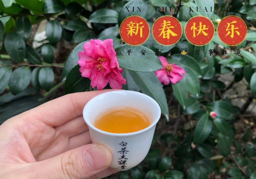 六妙白茶是拼配的吗怎么喝