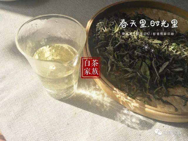 白茶开仓念款什么意思呀