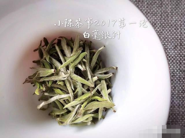 白茶茶青是被茶厂收购吗