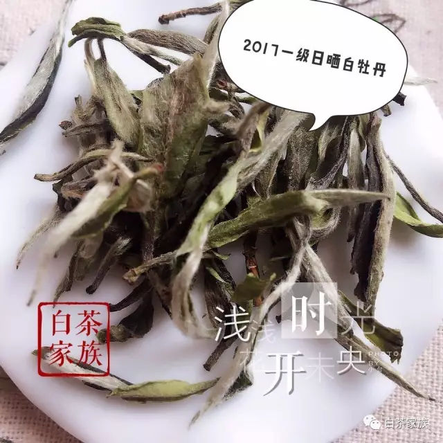 福鼎白茶有什么称号和品种