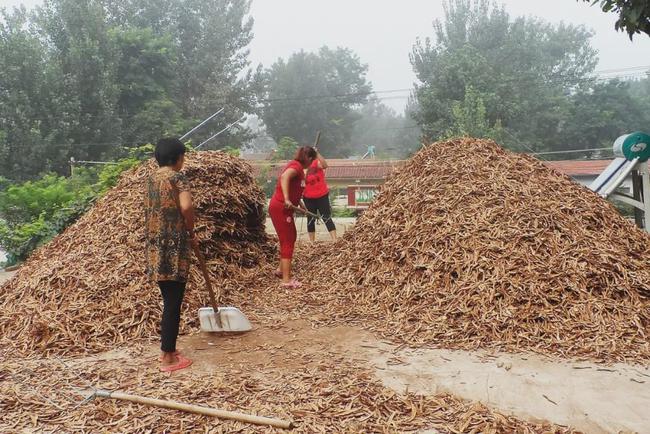 荥阳哪里有卖白茶油的地方