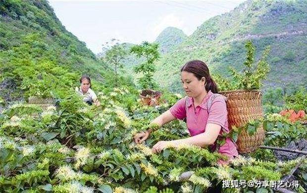 荥阳哪里有卖白茶油的地方