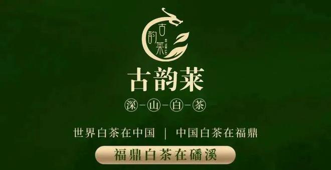 福鼎白茶村茶业公司招聘