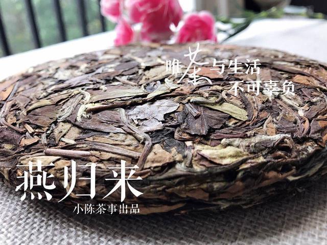 白茶寿眉的采摘节和时间是多少