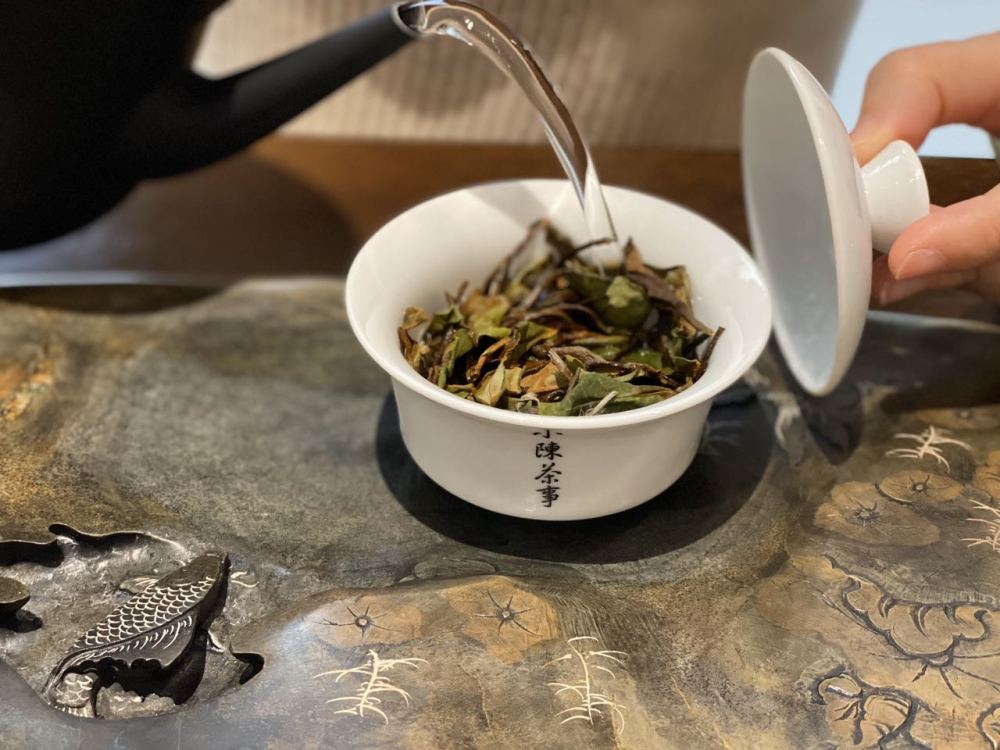 天台云雾茶好还是白茶好