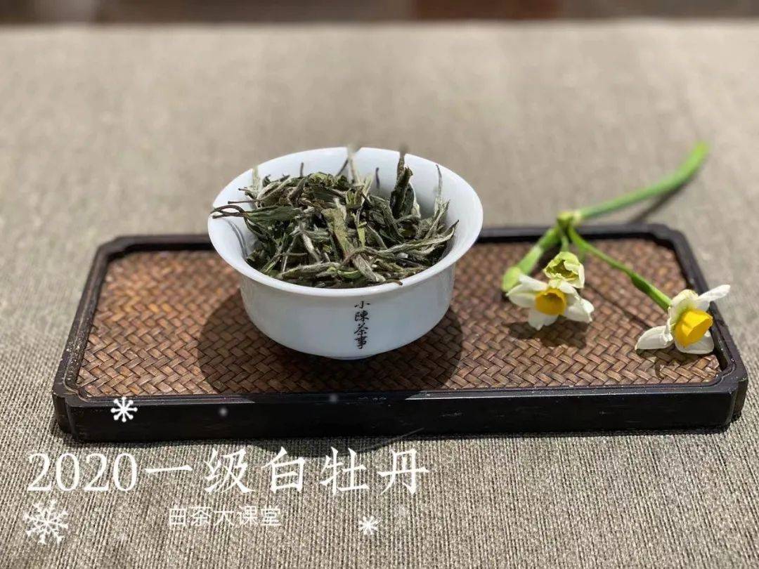 口碑好的老白茶哪个牌子好一点-口碑好的老白茶哪个牌子好一点呢