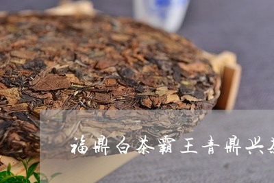 白茶排名第几-品品香白茶排名第几