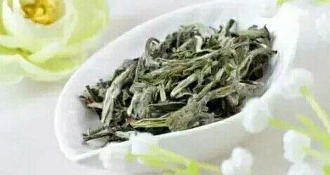 柳州口碑好的白茶茶叶品牌