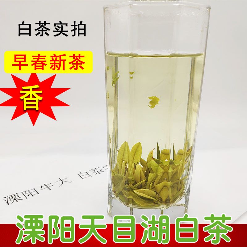 天目湖白茶是哪里的特产-天目湖白茶是哪里的特产啊