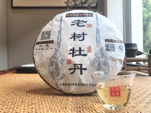 福鼎白茶茶饼能放冰箱多久不坏？