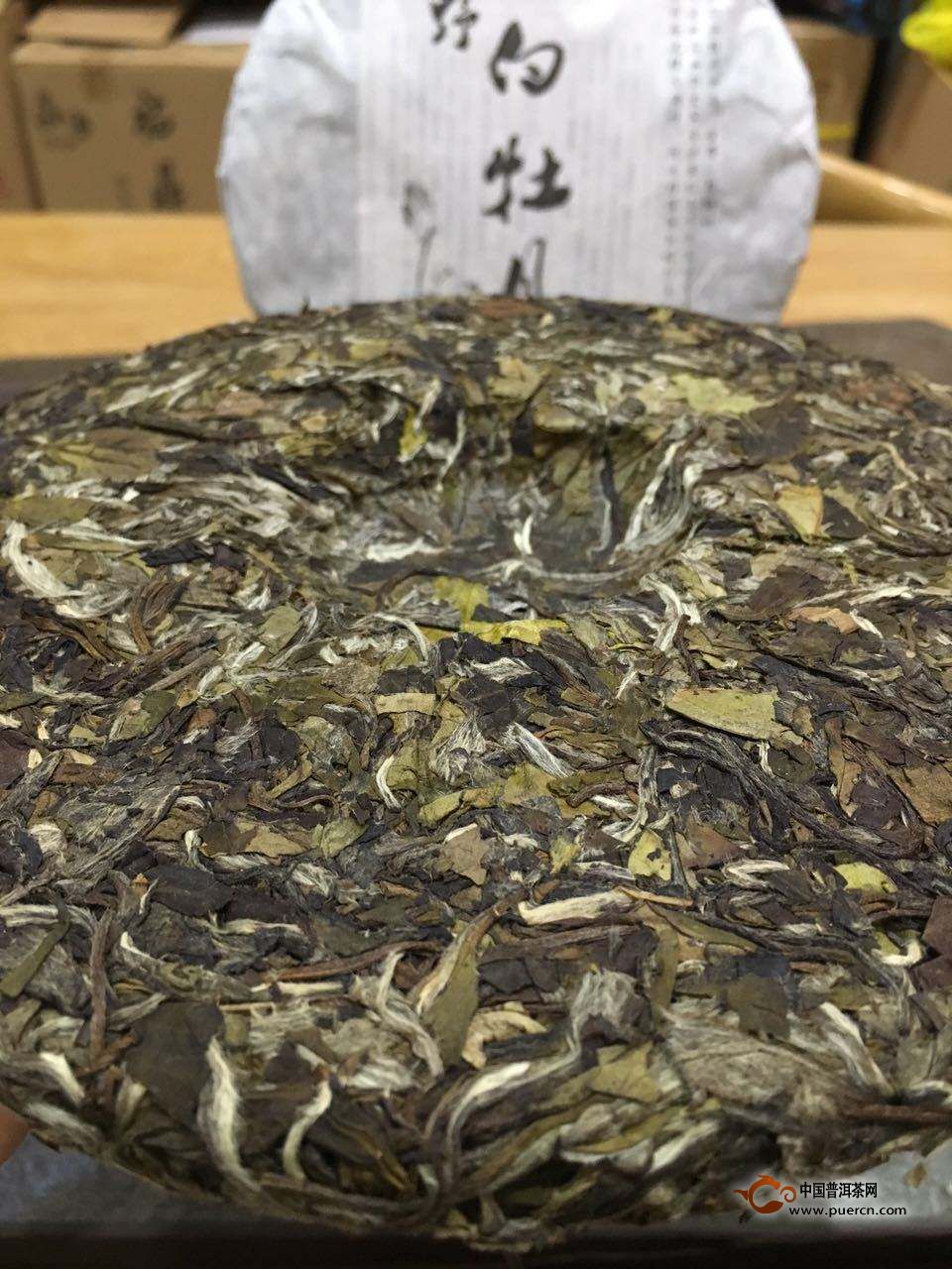 泰安白茶饼加盟费多少啊