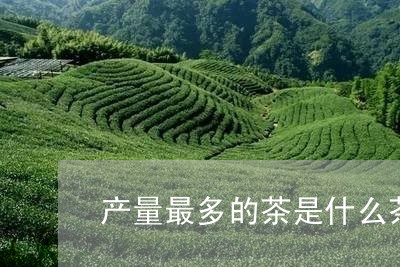 舟山老白茶经销商查询