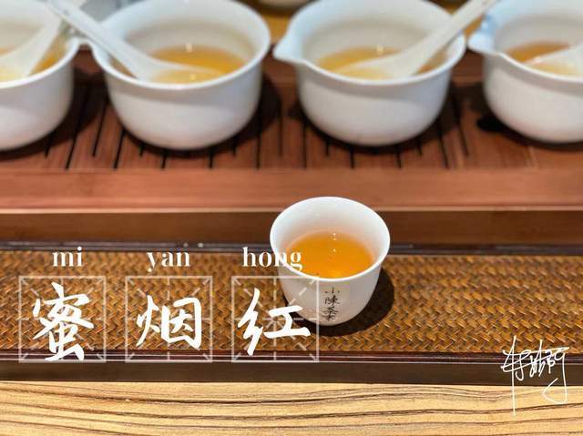 白茶红茶和黄茶哪个好泡