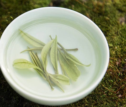 安吉白茶的等级分为几等