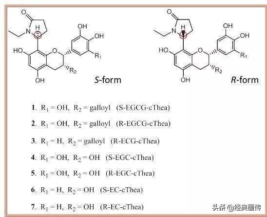 福鼎白茶的营养成份有哪些含量及其营养价值