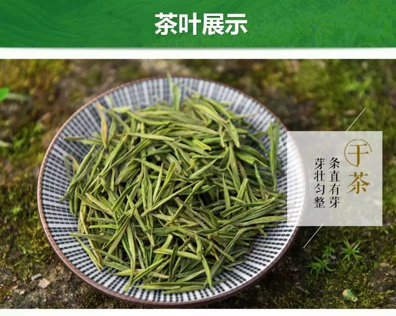 安吉白茶为什么有奶香味道