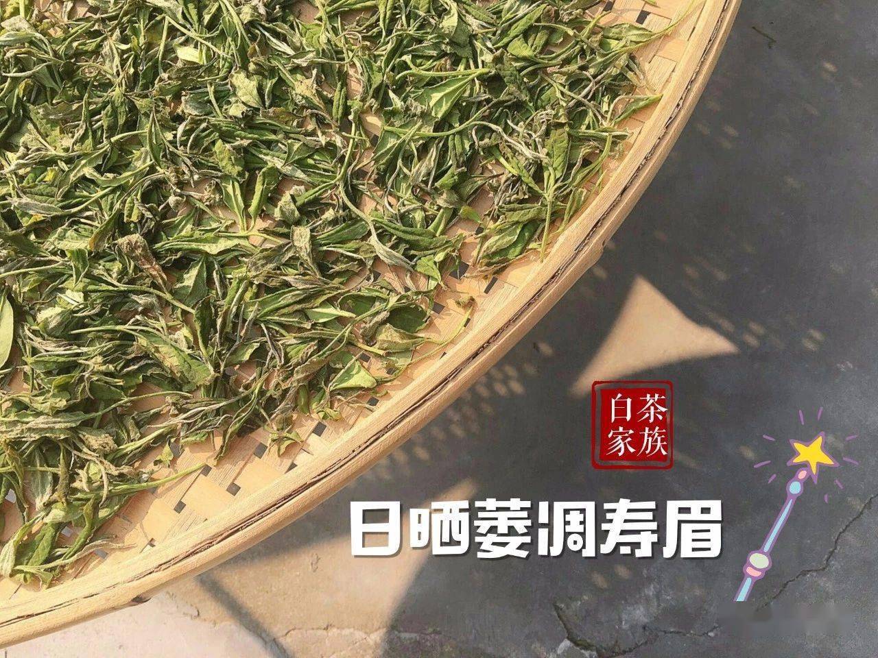 汨罗保存白茶生产厂家地址