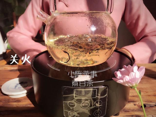 老白茶好吗，早上喝老白茶好吗，高血压喝老白茶好吗，秋冬喝老白茶好吗，甲状腺手术后喝老白茶好吗nn老白茶好吗，早上喝好吗，高血压喝好吗，秋冬喝好吗，甲状腺手术后喝好吗