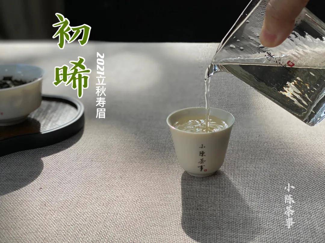 白茶能用保杯吗？为什么能用？