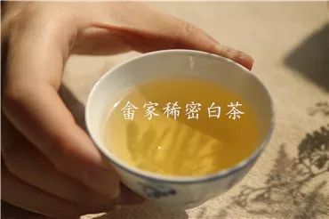 天天喝寿眉白茶好不好