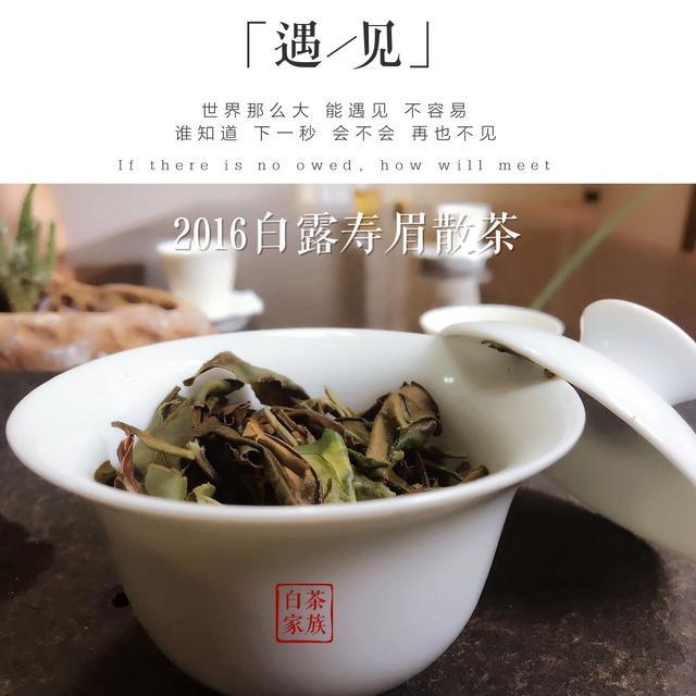 福鼎白茶喝起来饺子味