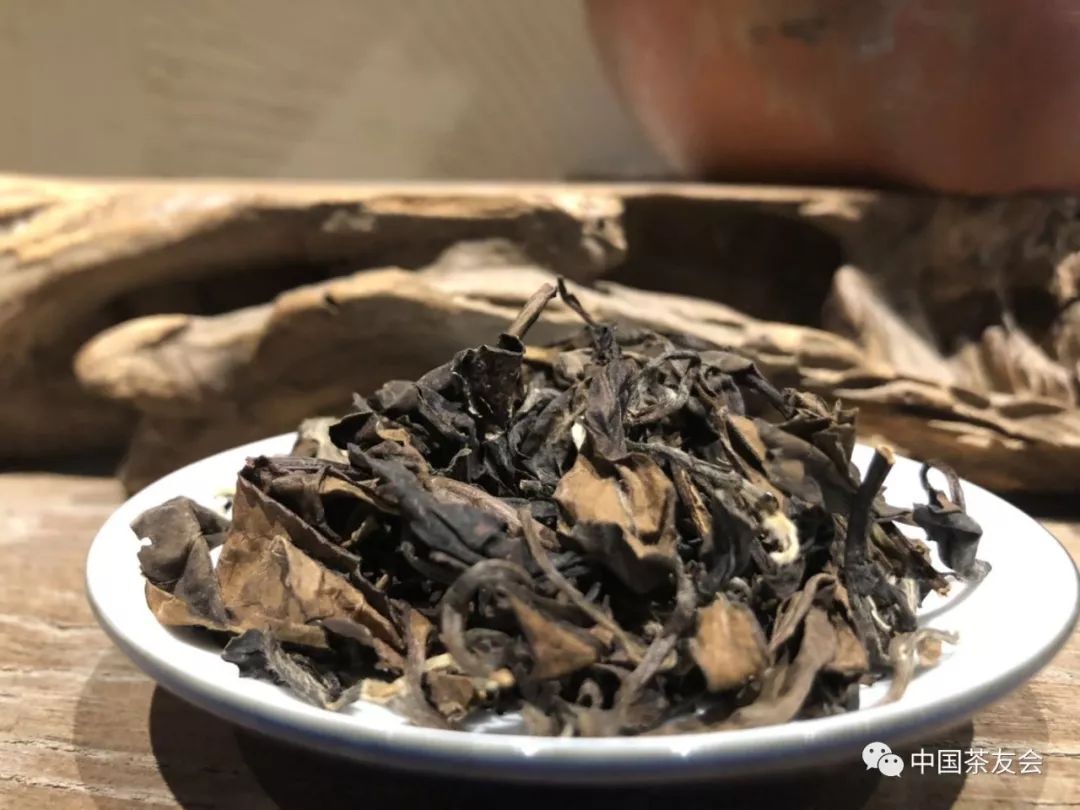 老白茶陈茶批发价格