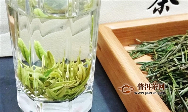 白茶茶芽比茶叶好吗，为什么？