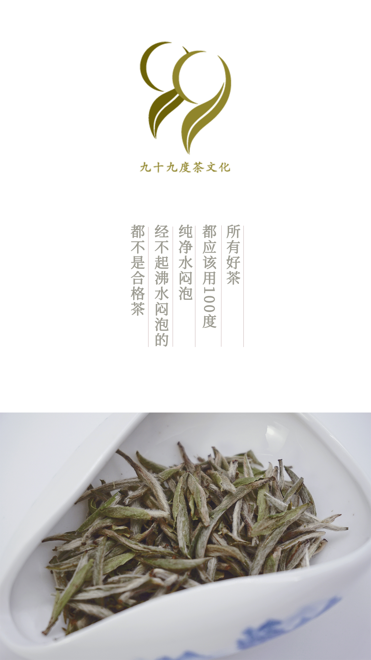 陈皮白茶是软的还是凉的呢？如何正确品饮陈皮白茶？