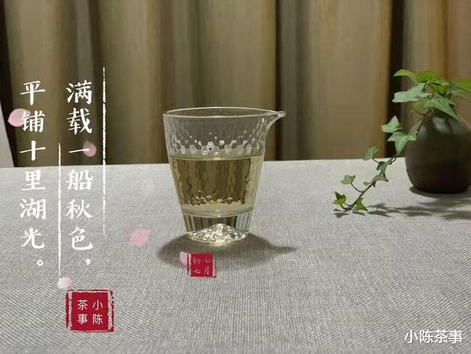 老白茶适合什么人体质喝呢