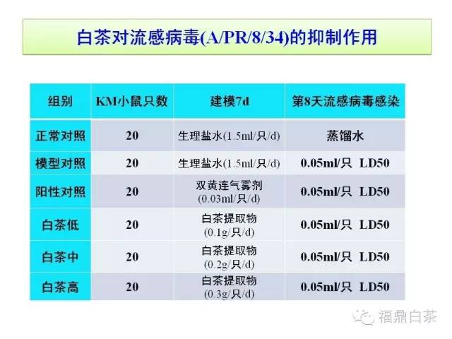 福鼎白茶的发展历与趋势