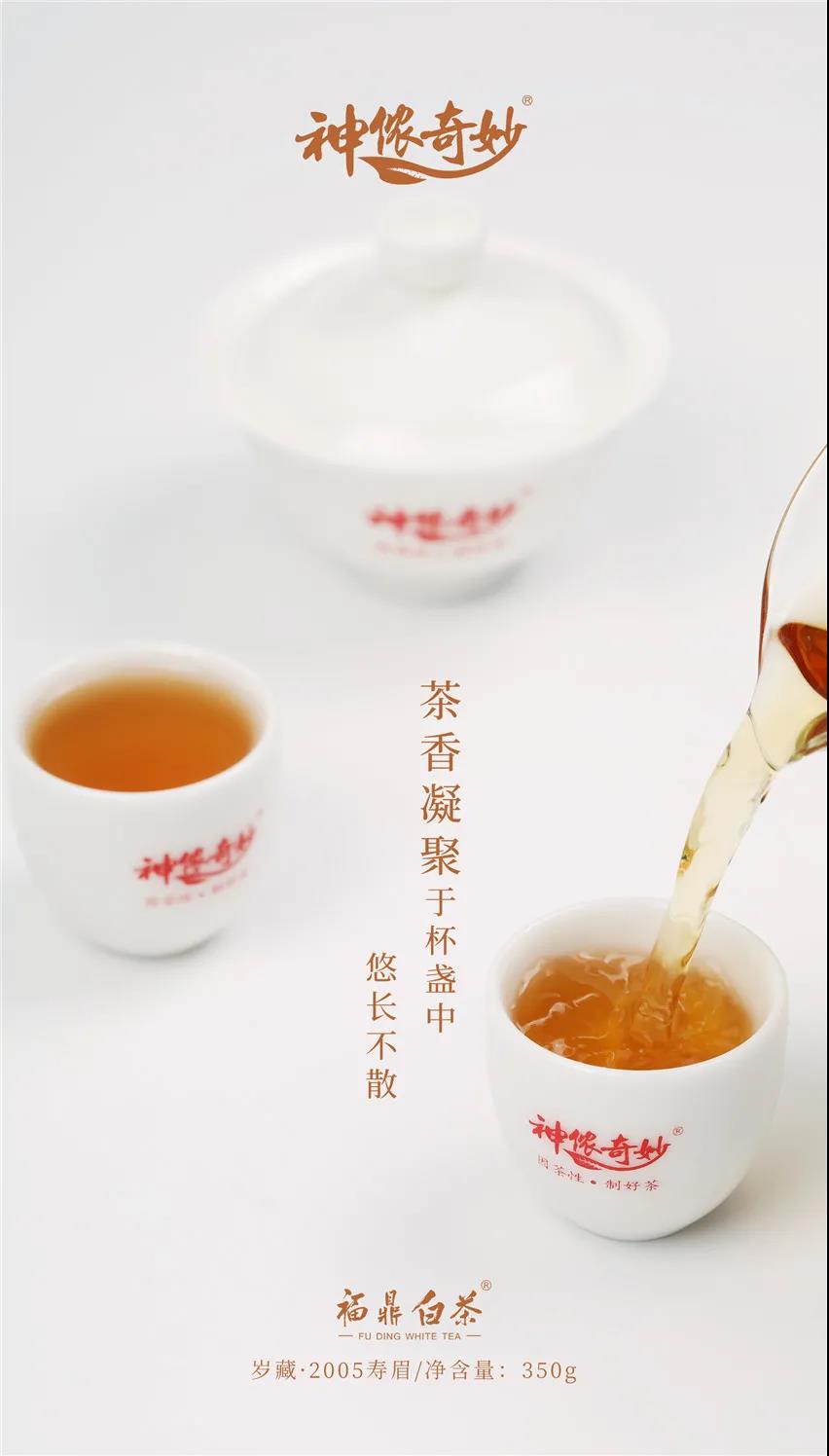 煮白茶的茶水比例及合适使用的茶叶量是多少？