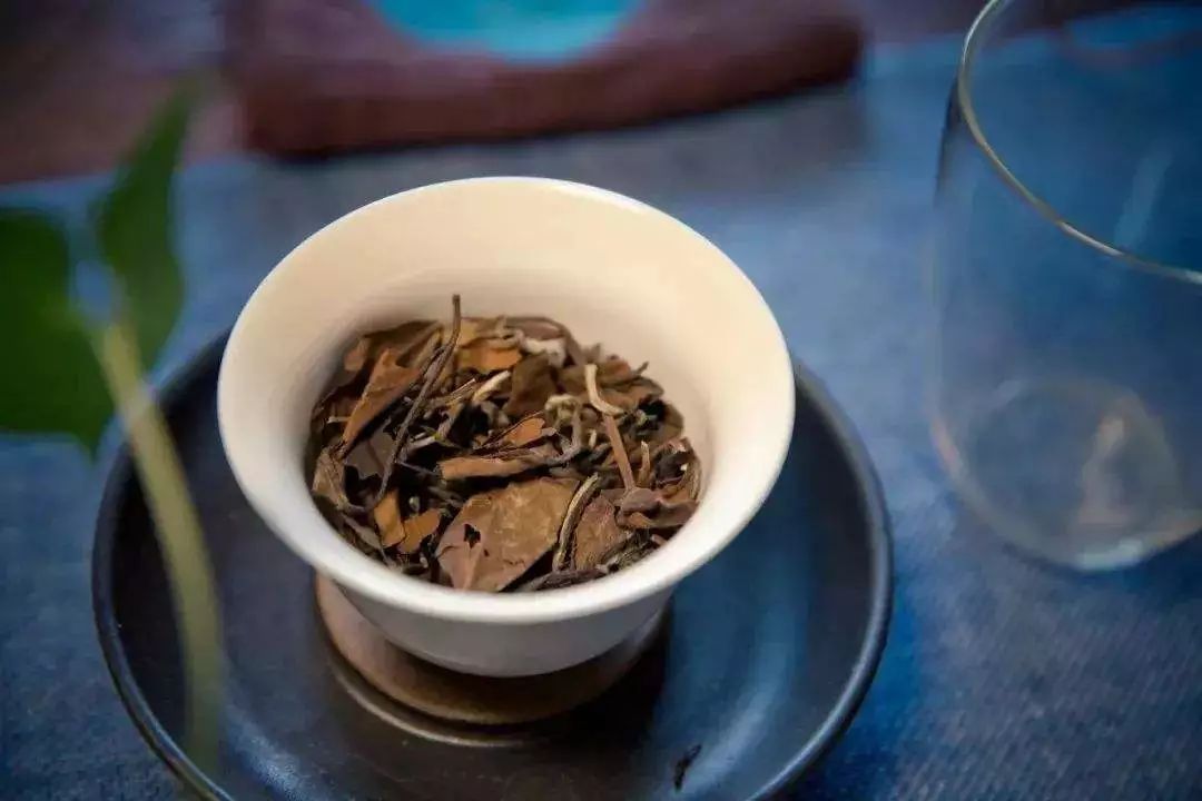 老寿眉白茶式风雅价格